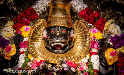 Daily Darshan