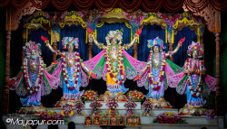 Daily Darshan