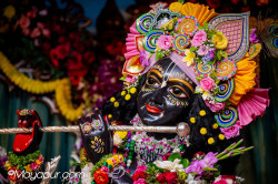 Daily Darshan