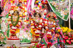 Daily Darshan