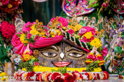 Daily Darshan