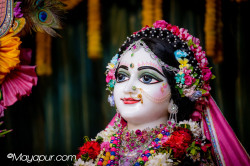 Daily Darshan