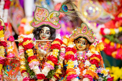 Daily Darshan