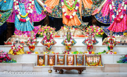 Daily Darshan
