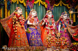 Daily Darshan