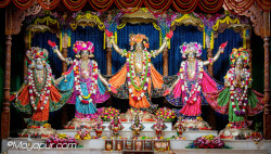 Daily Darshan