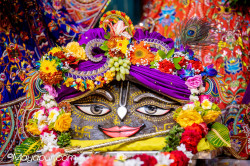 Daily Darshan