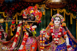 Daily Darshan