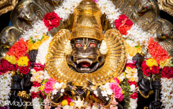 Daily Darshan
