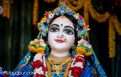 Daily Darshan
