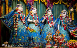 Daily Darshan