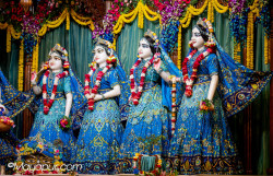 Daily Darshan