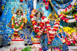 Daily Darshan