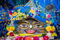 Daily Darshan