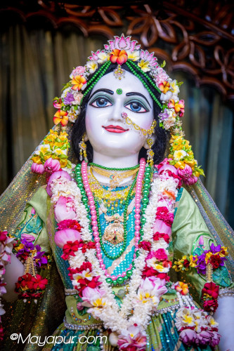 Daily Darshan