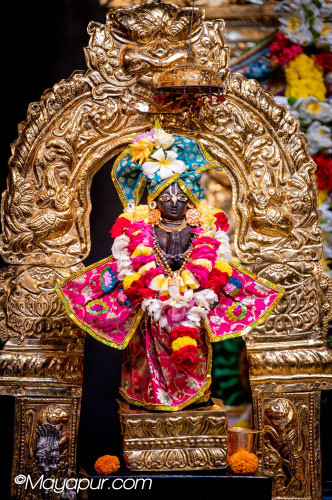 Daily Darshan
