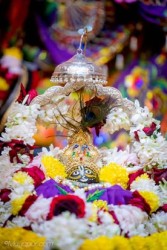 Daily Darshan
