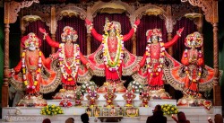 Daily Darshan