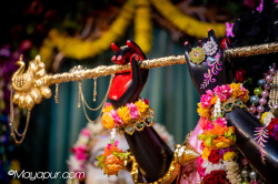 Daily Darshan