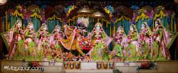 Daily Darshan
