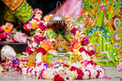 Daily Darshan