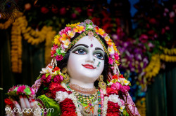 Daily Darshan