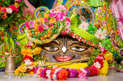 Daily Darshan