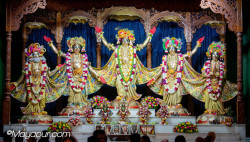 Daily Darshan