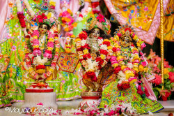 Daily Darshan