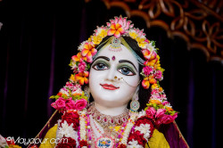 Daily Darshan