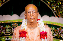 Daily Darshan