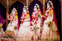 Daily Darshan