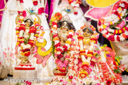 Daily Darshan
