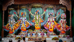 Daily Darshan