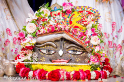 Daily Darshan