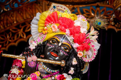 Daily Darshan