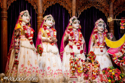 Daily Darshan