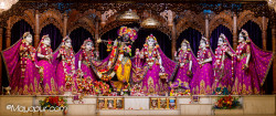 Daily Darshan