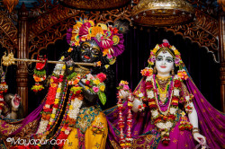 Daily Darshan