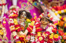 Daily Darshan