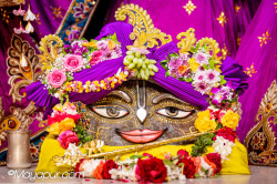 Daily Darshan