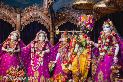 Daily Darshan