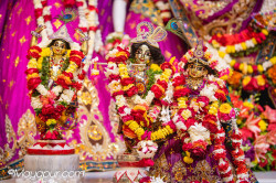 Daily Darshan