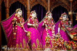 Daily Darshan