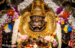 Daily Darshan