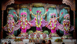 Daily Darshan