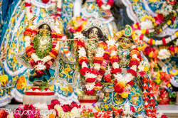 Daily Darshan