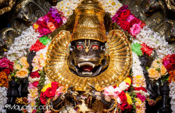 Daily Darshan