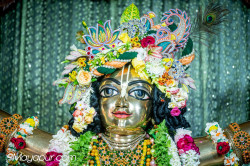 Daily Darshan