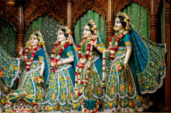 Daily Darshan